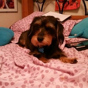 Meet your Posher, Katherine